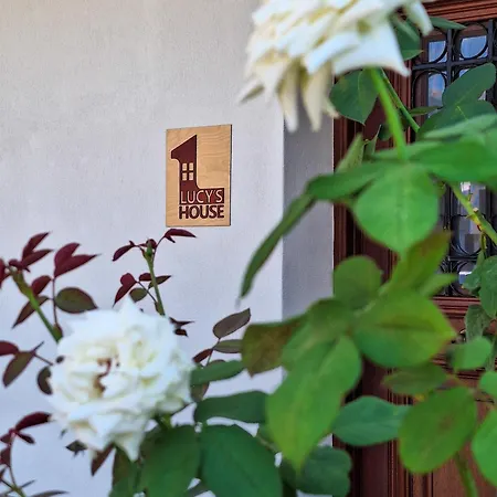Lucy'S Cozy House In The Castle Apartment Ioannina Exterior photo
